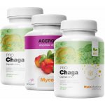 MycoMedica Chaga PRO 2× 90 kapslí + Acerola 90 kapslí – Hledejceny.cz
