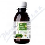 Virde Jitrocelový sirup s betaglukanem 200 ml – Hledejceny.cz