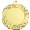 Sportovní medaile DCH Kovová medaile KMED01 4 cm Zlato