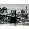 Tapety AG design FTS-0199 Papírová fototapeta Brooklyn bridge black rozměry 360 x 254 cm