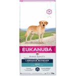 Eukanuba Labrador Retriever 12 kg – Zboží Dáma Eukanuba Labrador Retriever 12 kg – Zboží Dáma