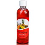 ShishaSyrup Melasa Exotický mix 100 ml – Zboží Dáma