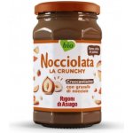 Rigoni di Asiago Rigoni Krém z kakaa a lískových oříšků BIO 250 g – Zboží Mobilmania
