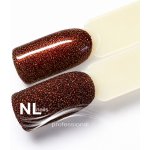 NL nails professional GLITTER POWDER – Hledejceny.cz