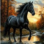 Norimpex diamantové malování Černý kůň v potoce 30 x 40 cm – Sleviste.cz