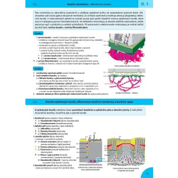 Memorix Histologie - 2. vydání - Radovan Hudák, Ivan Varga, Zbyněk Tonar, Jan Balko