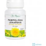 Dr.Popov Pampeliška lékařská kapsle 60 kusů 36 g – Hledejceny.cz