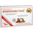 Čaj Phoenix Division HANNASAKI Fruit ovocná směs 75 g