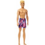 Mattel Barbie Beach Ken 23 – Hledejceny.cz