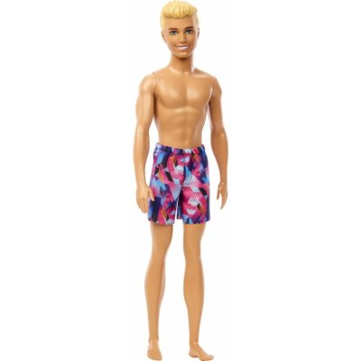 Mattel Barbie Beach Ken 23 – Zbozi.Blesk.cz