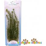 Tetra Anacharis 30 cm – Hledejceny.cz
