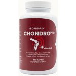 BORMAG CHONDROPRO klouby, boswellia, shiitake 120 kapslí – Hledejceny.cz