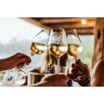 Degustace vín z Vinařství Fučík ve vinařském Hotelu Ryzlink v Mikulově pro 2 osoby – Hledejceny.cz