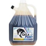 Gelapony Chondro Biosol Hyal 3 l – Hledejceny.cz