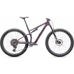 Specialized Epic 8 Expert Evo 2025 – Zbozi.Blesk.cz