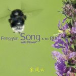 Feng-yűn Song Trio Puo - Wild Flower CD – Hledejceny.cz