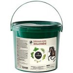 Leros Nervinae Horse 1000 g – Hledejceny.cz