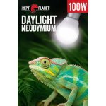 Repti Planet Daylight Neodymium 100 W – Zboží Mobilmania