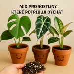 Mix č. 1 Pro pokojovky, které potřebují vzduch mezi kořeny – Zboží Dáma