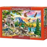 Castorland Vlčí rodinka a orel 1000 dílků – Hledejceny.cz