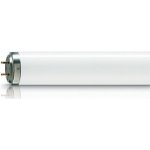 Philips BL TL 40W 10 RS G13 Actinic 120cm – Hledejceny.cz