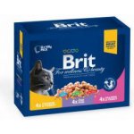 Brit Premium Cat pro psy MASOVÝ a RYBÍ MIX kuře hovězí treska pstruh 4 x 3 ks 10,2 kg – Zboží Mobilmania