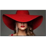 Philips 86BDL4650D – Zboží Živě