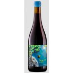 Artisans Partisans Les Naturels Dessine-moi un arbre Carignan Rouge BIO 2024 14% 0,75 l (holá láhev) – Hledejceny.cz