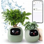 Plantsio Ivy zelený – Zboží Dáma