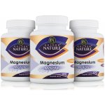 Golden Nature Magnesium Malate + Vitamin B6 3 x 100 kapslí – Hledejceny.cz