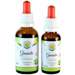 Salvia Paradise Graviola Annona tinktura bez alkoholu 50 ml – Zboží Mobilmania