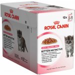 Royal Canin KITTEN STERILIZED v želé 12 x 85 g – Hledejceny.cz