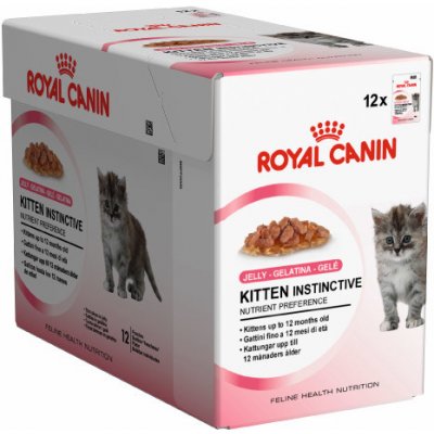 Royal Canin KITTEN STERILIZED v želé 12 x 85 g – Zboží Mobilmania