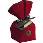 Fiasconaro Panettone tradiční 500g – Zboží Dáma