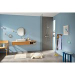 Hansgrohe 15773000 – Zboží Mobilmania