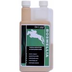 Dromy BOSWELLIA Serrata liq. 1000 ml – Hledejceny.cz