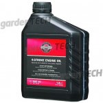 Briggs & Stratton SAE 30 1,4 l – Sleviste.cz