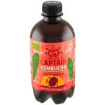 Captain Kombucha Kombucha bio broskev 400 ml – Hledejceny.cz