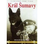 Král Šumavy DVD – Hledejceny.cz