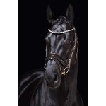 HKM Uzdečka Fleur Černá – Sleviste.cz