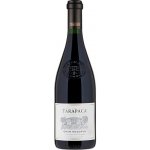 Tarapacá Cabernet Sauvignon Gran Reserva 2022 14% 0,75 l (holá láhev) – Zboží Dáma