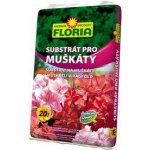 Agro CS Substrát pro muškáty a jiné balkónové květiny 20 l – Zboží Mobilmania