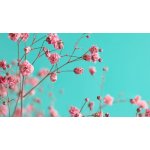 Batiste Dry Shampoo Clean & Classic Original suchý šampon na vlasy 200 ml – Zboží Dáma