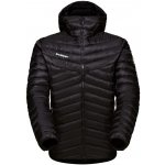 Mammut Albula IN Hooded Jacket Men – Hledejceny.cz