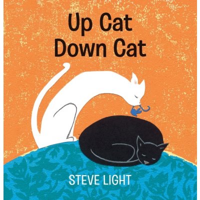 Up Cat Down Cat kniha s protiklady v angličtině