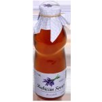 Nature Notea Babiččin sirup Levandule 0,5 l – Sleviste.cz