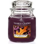 Yankee Candle Autumn Glow 411 g – Hledejceny.cz