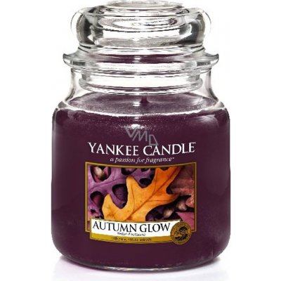 Yankee Candle Autumn Glow 411 g – Hledejceny.cz