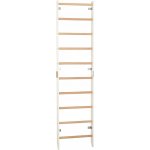 Rinagym Žebřiny na cvičení 230 cm x 58 cm – Hledejceny.cz