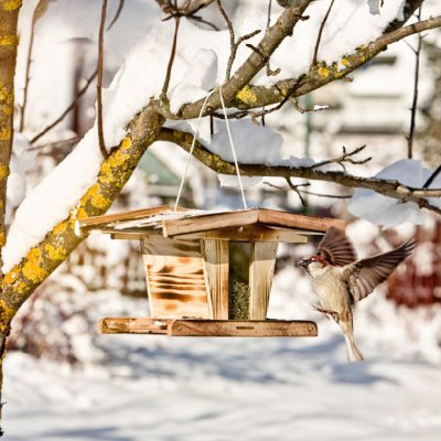 Windhager AT Krmítko pro ptáky Chalet velké – Sleviste.cz
